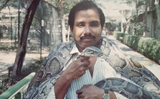 Former Dubai Zoo handler dies of Covid-19 in India